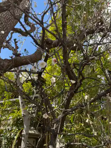 一宮神社の自然