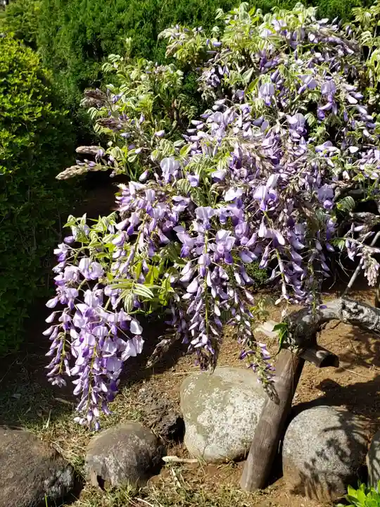 本寿院(東京都)