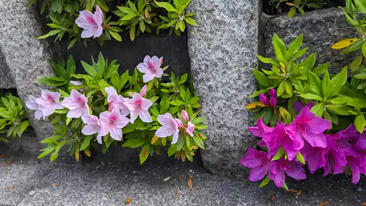 六孫王神社(京都府)