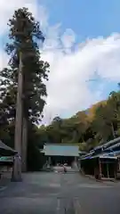 川勾神社の建物その他