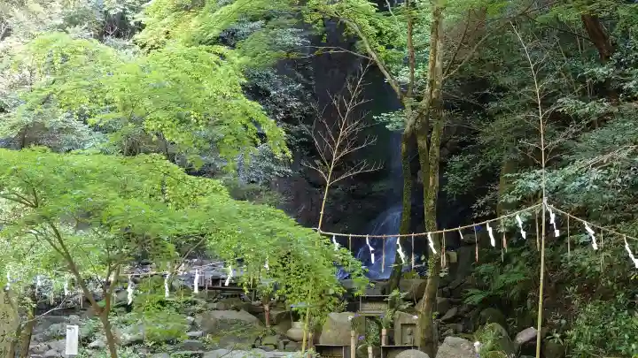 石上神社の{uncategorized: "未分類", other: "その他", undefined: "問題あり", building: "その他建物", grave: "お墓", sacred_gate: "鳥居", guardian: "狛犬", statue: "像", buddha: "仏像", history: "歴史", nature: "自然", garden: "庭園", animal: "動物", pagoda: "塔", temizu: "手水舎", mountain_gate: "山門・神門", sanctuary: "本殿・本堂", subordinate: "末社・摂社", art: "芸術", scenery: "景色", jizo: "地蔵", ema: "絵馬", goshuin: "御朱印", omikuji: "おみくじ", items: "授与品その他", amulet: "お守り", goshuincho: "御朱印帳", eats: "食事", festival: "お祭り", votive_dance: "神楽", shichigosan: "七五三参", wedding: "結婚式", experience: "体験その他", initially: "初詣", around: "周辺", anti_infection: "感染症対策"}