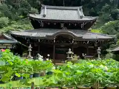 三室戸寺(京都府)