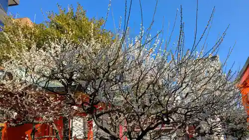 神田神社（神田明神）の自然