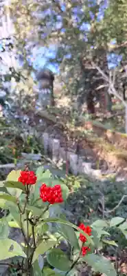 荏柄天神社(神奈川県)