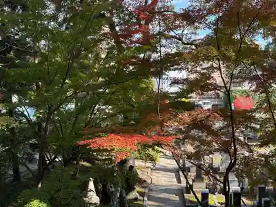 伊勢の国 四天王寺(三重県)