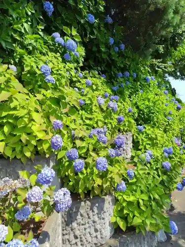 厚別神社(北海道)