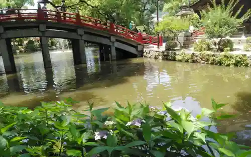 太宰府天満宮の庭園