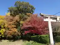 夜都伎神社の周辺