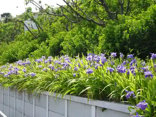 横浜　西方寺の自然