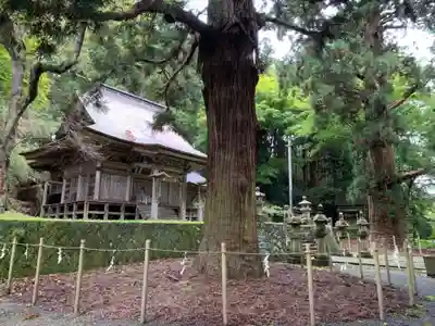 配志和神社のその他建物
