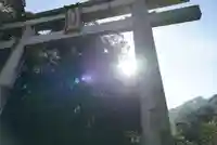 石清水八幡宮の鳥居