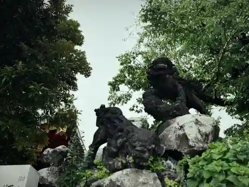 神田神社（神田明神）の狛犬