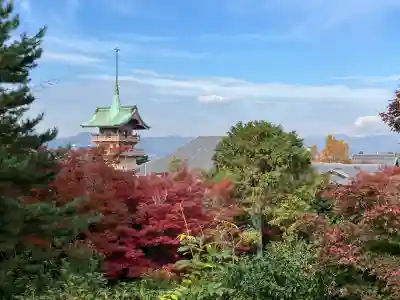 高台寺（高台寿聖禅寺・高臺寺）(京都府)