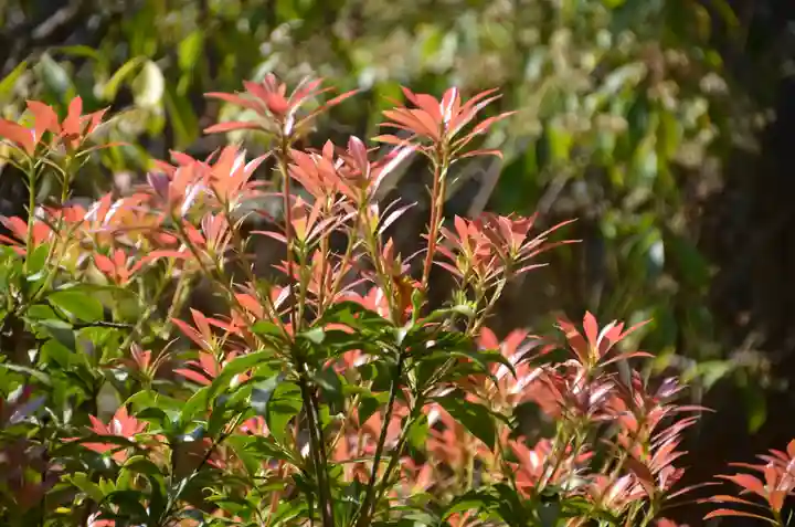 伊勢の国 四天王寺(三重県)