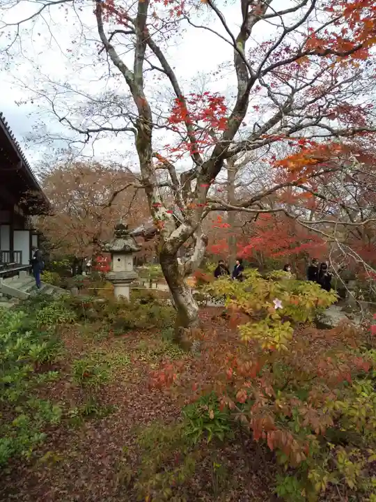 常寂光寺の自然