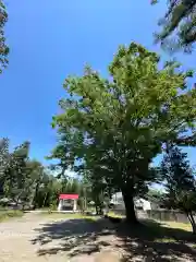 日吉神社(山梨県)