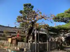 善名称院（真田庵）(和歌山県)