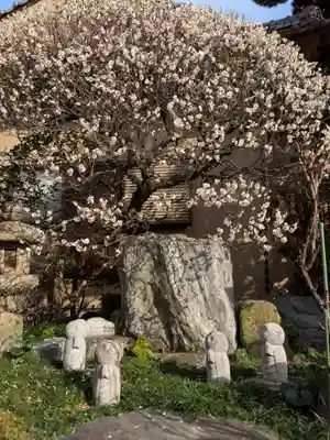 松應寺(東京都)