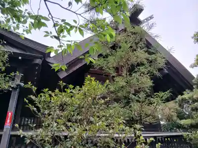 白幡天神社の{uncategorized: "未分類", other: "その他", undefined: "問題あり", building: "その他建物", grave: "お墓", sacred_gate: "鳥居", guardian: "狛犬", statue: "像", buddha: "仏像", history: "歴史", nature: "自然", garden: "庭園", animal: "動物", pagoda: "塔", temizu: "手水舎", mountain_gate: "山門・神門", sanctuary: "本殿・本堂", subordinate: "末社・摂社", art: "芸術", scenery: "景色", jizo: "地蔵", ema: "絵馬", goshuin: "御朱印", omikuji: "おみくじ", items: "授与品その他", amulet: "お守り", goshuincho: "御朱印帳", eats: "食事", festival: "お祭り", votive_dance: "神楽", shichigosan: "七五三参", wedding: "結婚式", experience: "体験その他", initially: "初詣", around: "周辺", anti_infection: "感染症対策"}