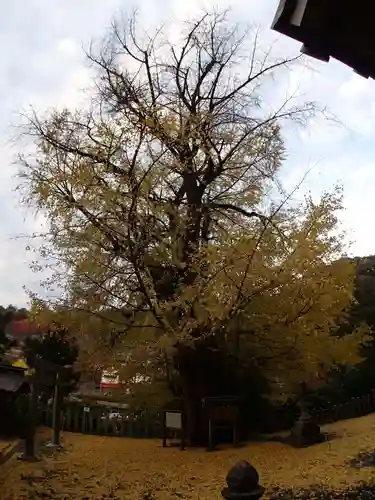 素盞雄神社の景色