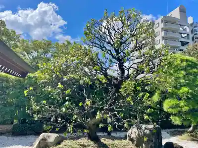 良泉寺(神奈川県)