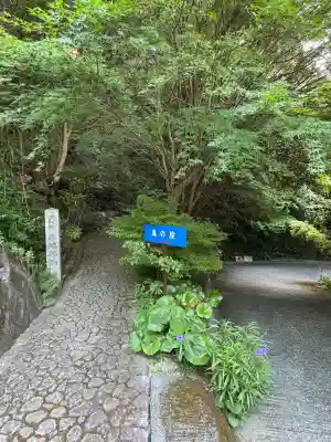 大日寺奥の院爪彫薬師(高知県)