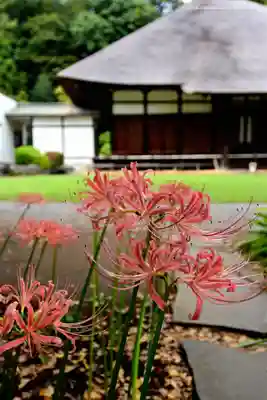 横浜　西方寺(神奈川県)