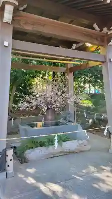 東海市熊野神社の{uncategorized: "未分類", other: "その他", undefined: "問題あり", building: "その他建物", grave: "お墓", sacred_gate: "鳥居", guardian: "狛犬", statue: "像", buddha: "仏像", history: "歴史", nature: "自然", garden: "庭園", animal: "動物", pagoda: "塔", temizu: "手水舎", mountain_gate: "山門・神門", sanctuary: "本殿・本堂", subordinate: "末社・摂社", art: "芸術", scenery: "景色", jizo: "地蔵", ema: "絵馬", goshuin: "御朱印", omikuji: "おみくじ", items: "授与品その他", amulet: "お守り", goshuincho: "御朱印帳", eats: "食事", festival: "お祭り", votive_dance: "神楽", shichigosan: "七五三参", wedding: "結婚式", experience: "体験その他", initially: "初詣", around: "周辺", anti_infection: "感染症対策"}