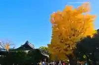 鑁阿寺(栃木県)