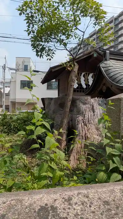 香具波志神社(大阪府)