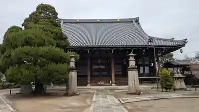 妙顯寺（妙顕寺）(京都府)