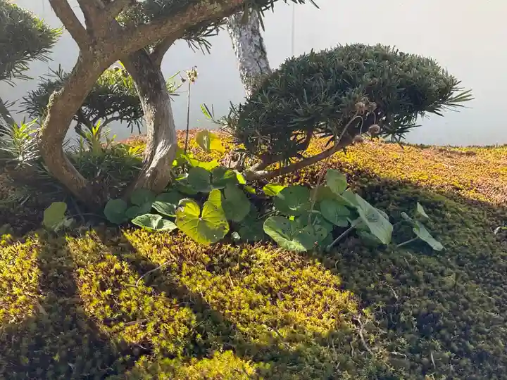 西方山極楽寺(岐阜県)