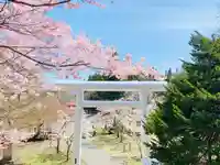 土津神社|こどもと出世の神さまの鳥居