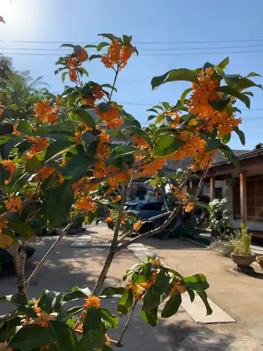 尼崎えびす神社の自然