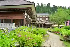 光照寺(新潟県)