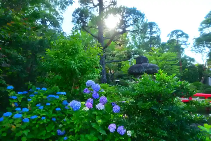 高幡不動尊 金剛寺(東京都)