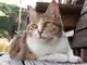 ウッチー