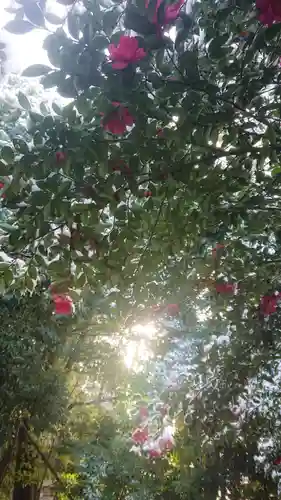 尾張大國霊神社（国府宮）の自然
