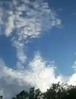 札幌諏訪神社の自然