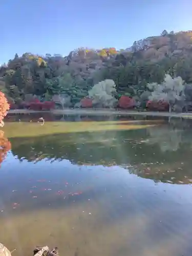白水阿弥陀堂(福島県)