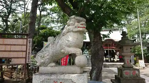 平塚三嶋神社の狛犬