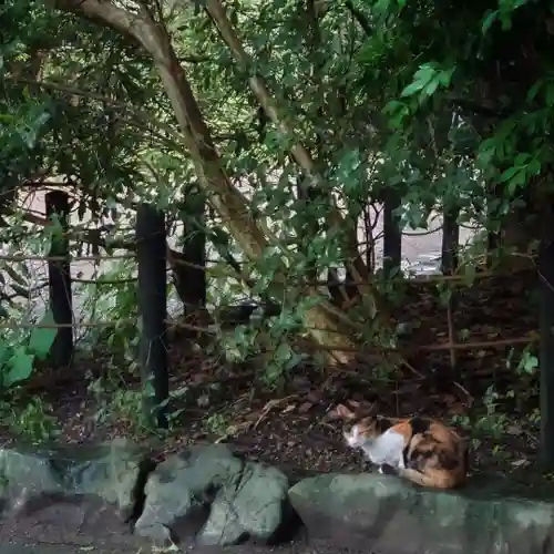 熱田神宮の動物