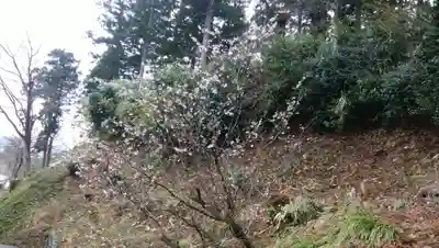 白狐山光星寺(山形県)