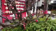 尾張猿田彦神社の自然