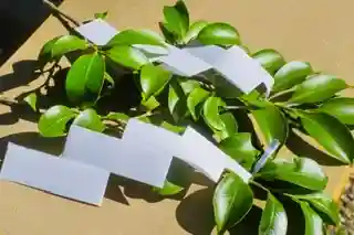 土津神社|こどもと出世の神さま(福島県)