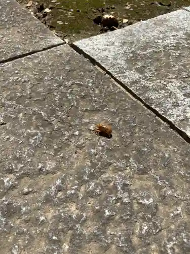 深谷山　瑠璃光寺(埼玉県)