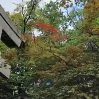 彌彦神社 (伊夜日子神社)(北海道)