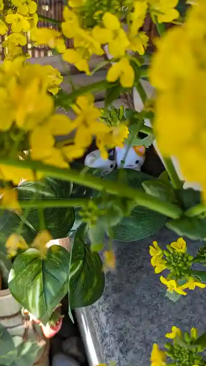 玉田神社(京都府)