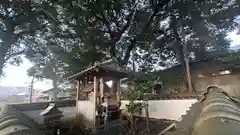 丹生川神社(奈良県)