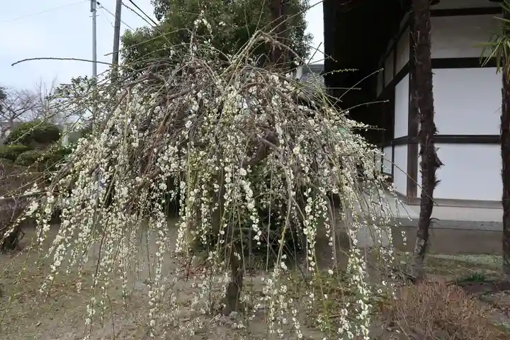 大御堂寺(野間大坊)(愛知県)